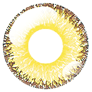 パーフェクトシリーズワンデーのカラコン 雷鳴ミモザイエロー