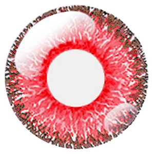 パーフェクトシリーズワンデーのカラコン 艶紅カーマイン