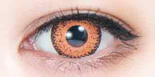 パーフェクトシリーズワンデーの着画 黄昏