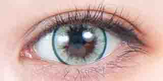 パーフェクトシリーズ フルブルーム リリーの着画