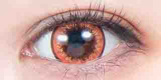 パーフェクトシリーズ フルブルーム モカラの着画