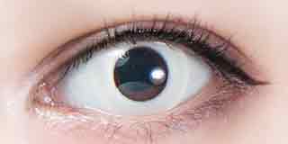 パーフェクトシリーズワンデージョーカー ホワイトの着画