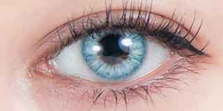 コスマギアノヴァの着画 パラディン