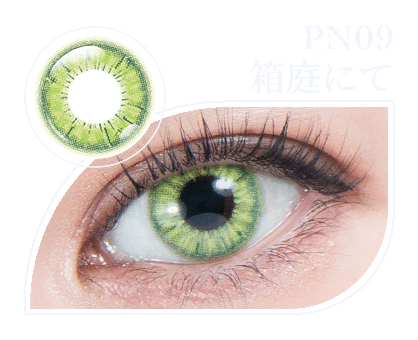 パーフェクトシリーズ コスマギアノヴァ PN09 箱庭にて