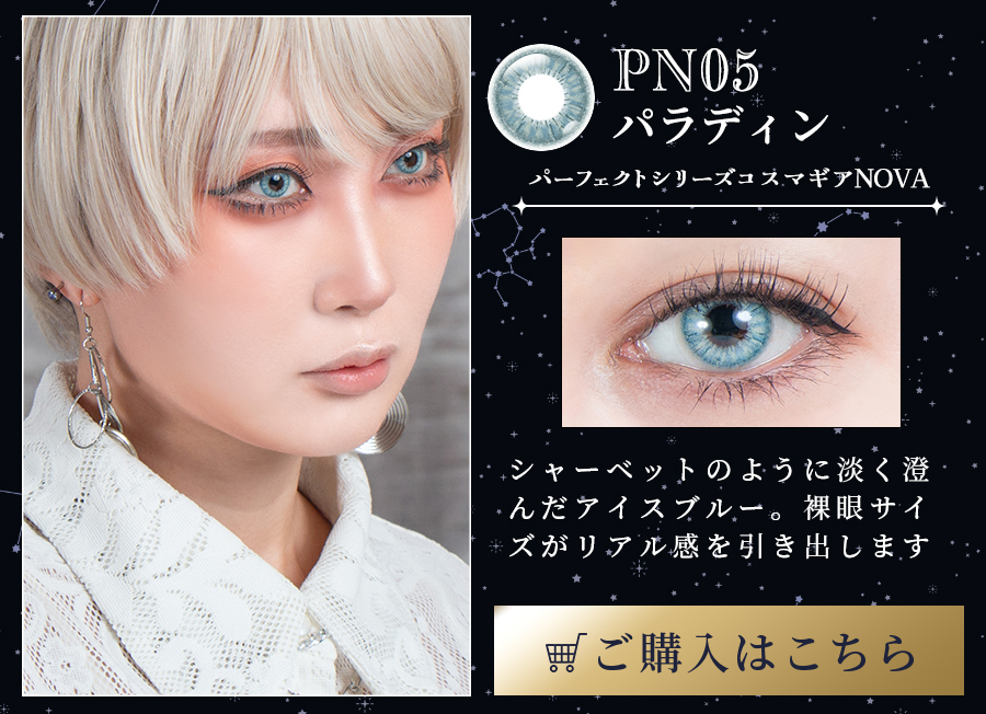 パーフェクトシリーズ コスマギアノヴァ PN05 パラディン